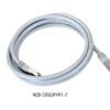 cat6