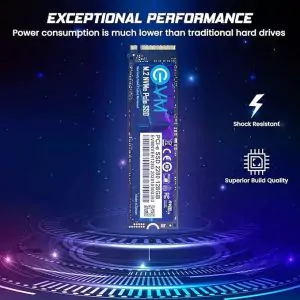 EVM Internal SSD  NVME PCIe SSD (EVMNV/128GB, Black, 128GB) 5 Year Warranty